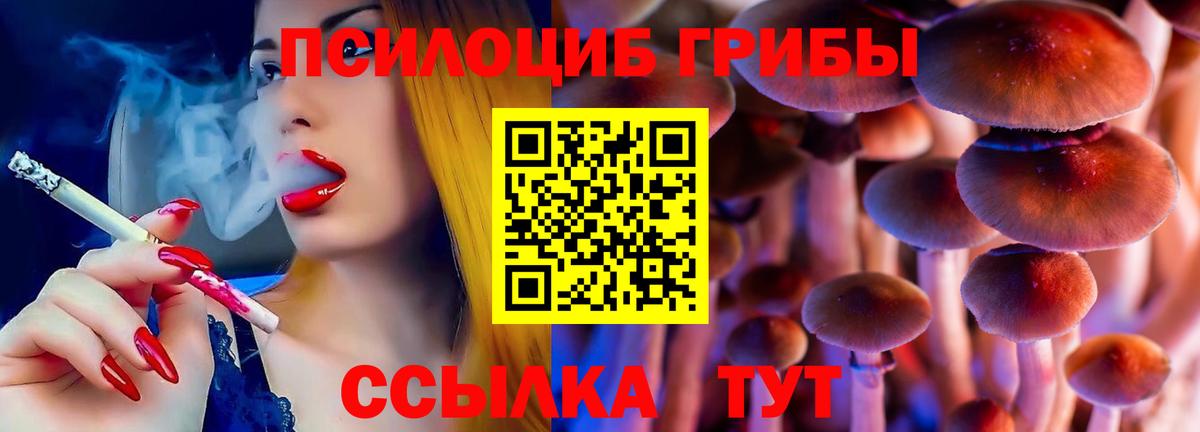 Красноармейск  Галлюциногенные грибы MAGIC MUSHROOMS  Вход с VPN  Галлюциногенные грибы ЛСД 